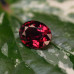 Red Garnet